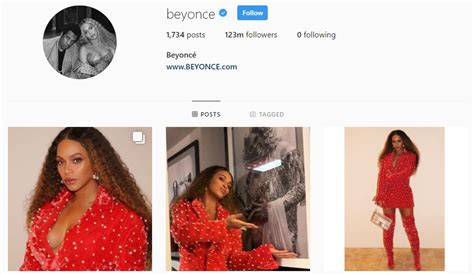 what are beyonce followers called